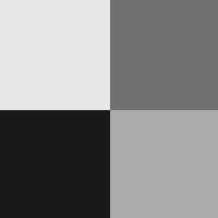 A 2 by 2 grid of pixels, each pixel with a unique shade of gray.