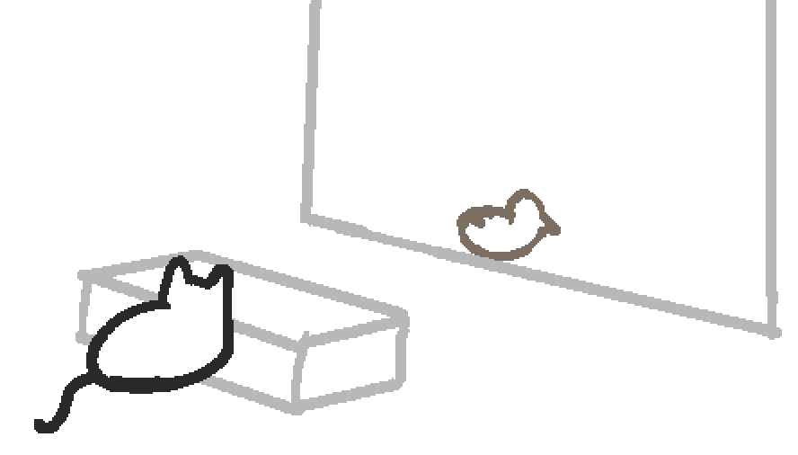 a cat cartoonishly jumping over a box, and sliding to the window to look at a bird