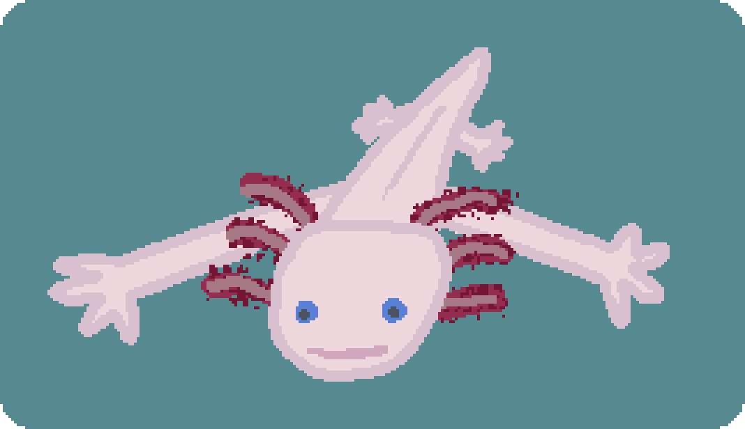 an axolotl with extremely long forward limbs