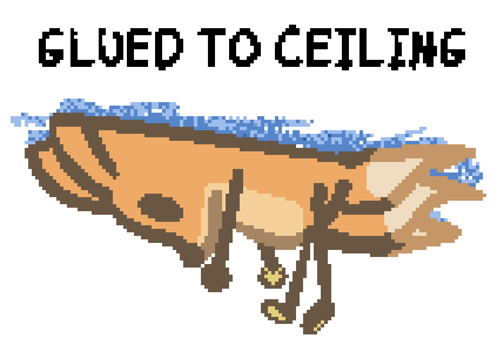 bee glued to the ceiling with blue glue stick, wiggling star paws