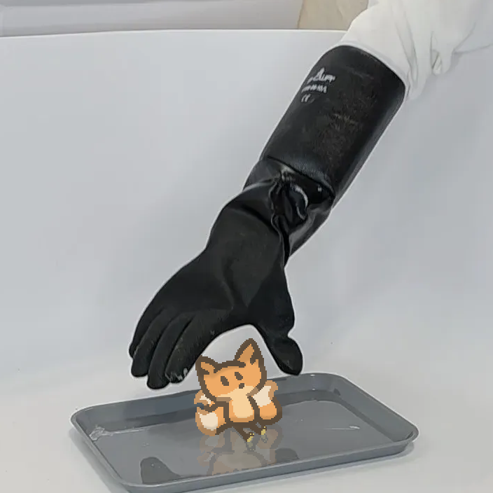 Bee sitting in a stray in a large tub, while a heavily gloved hand reaches down to grab star