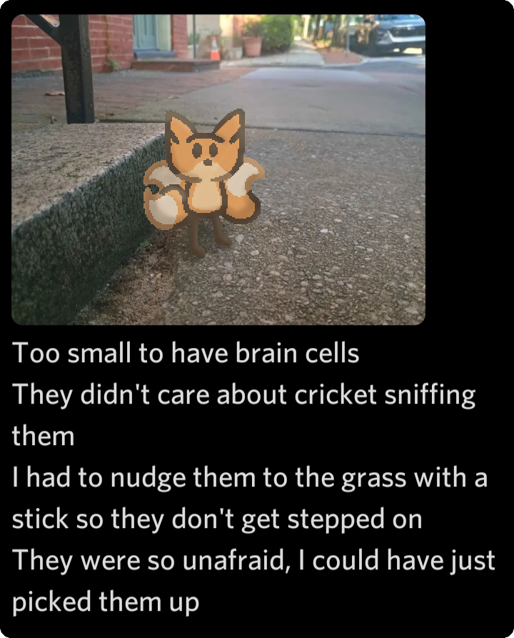 a screenshot texting app with a picture of bee on a sidewalk, barely taller then the curb. captioning the image is text about how small bee is. see text transcription.